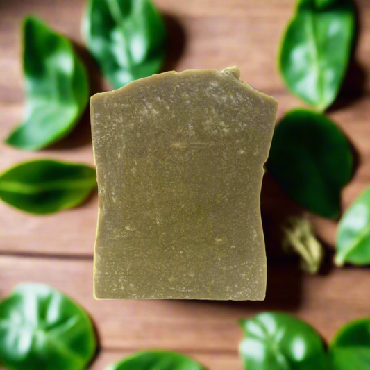 Be Well Skin Care Soap Sampler Pack