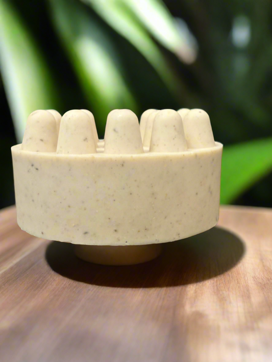 Shampoo Bar